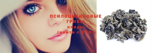 индика Армянск