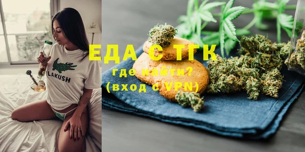 индика Армянск