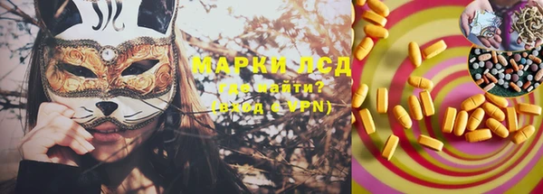 прущие грибы Мегион