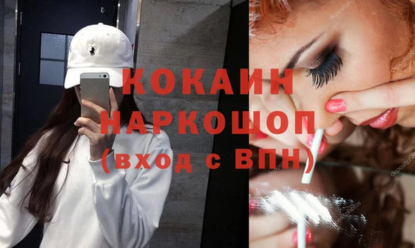 индика Армянск