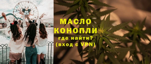 индика Армянск